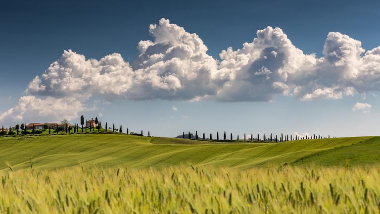 Charlotte Junior Suite | Suite di lusso a Cortona, Toscana | Villa Valentini Bonaparte