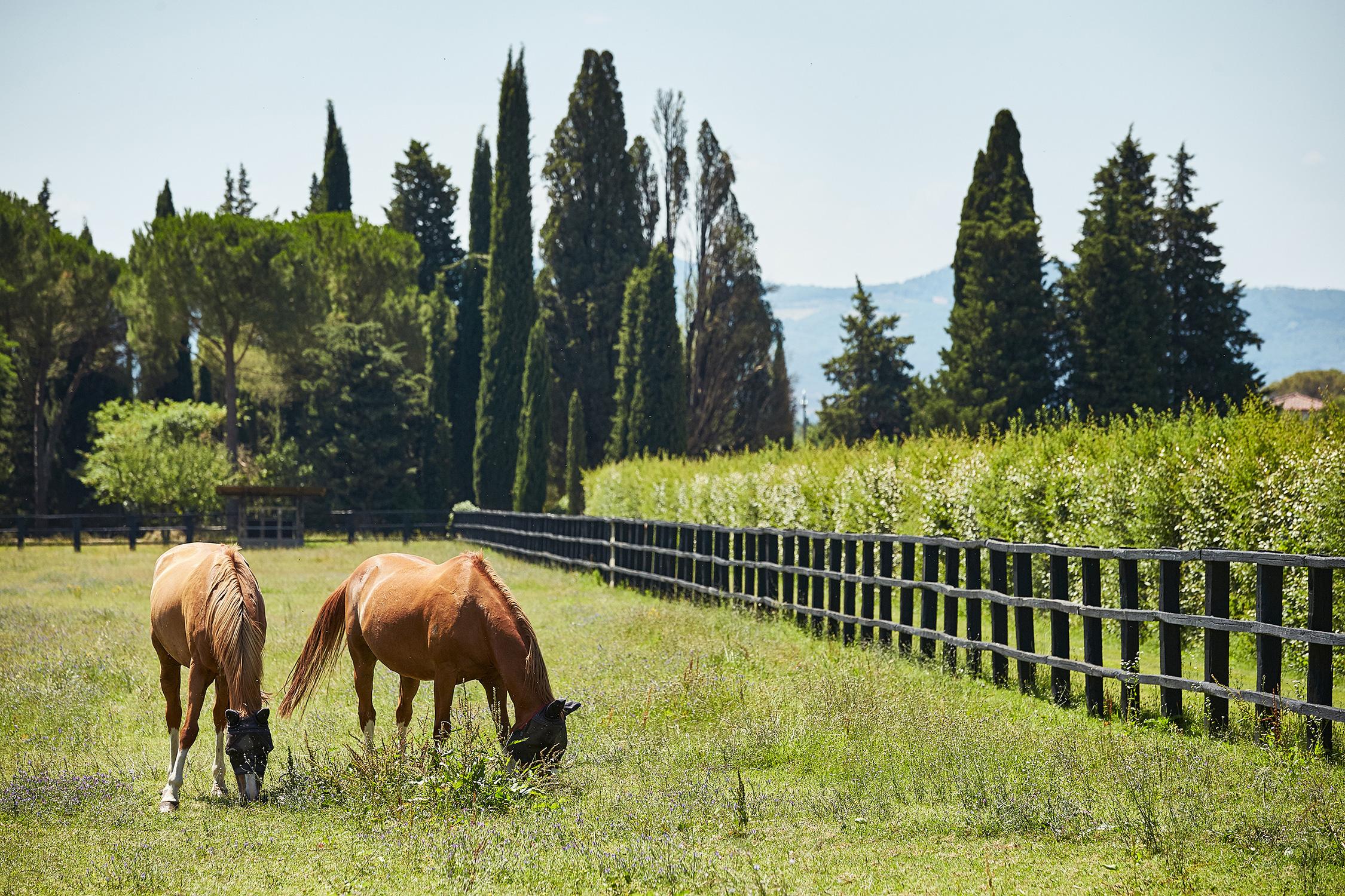 Esperienze in Villa e nei dintorni, proposte per una vacanza unica