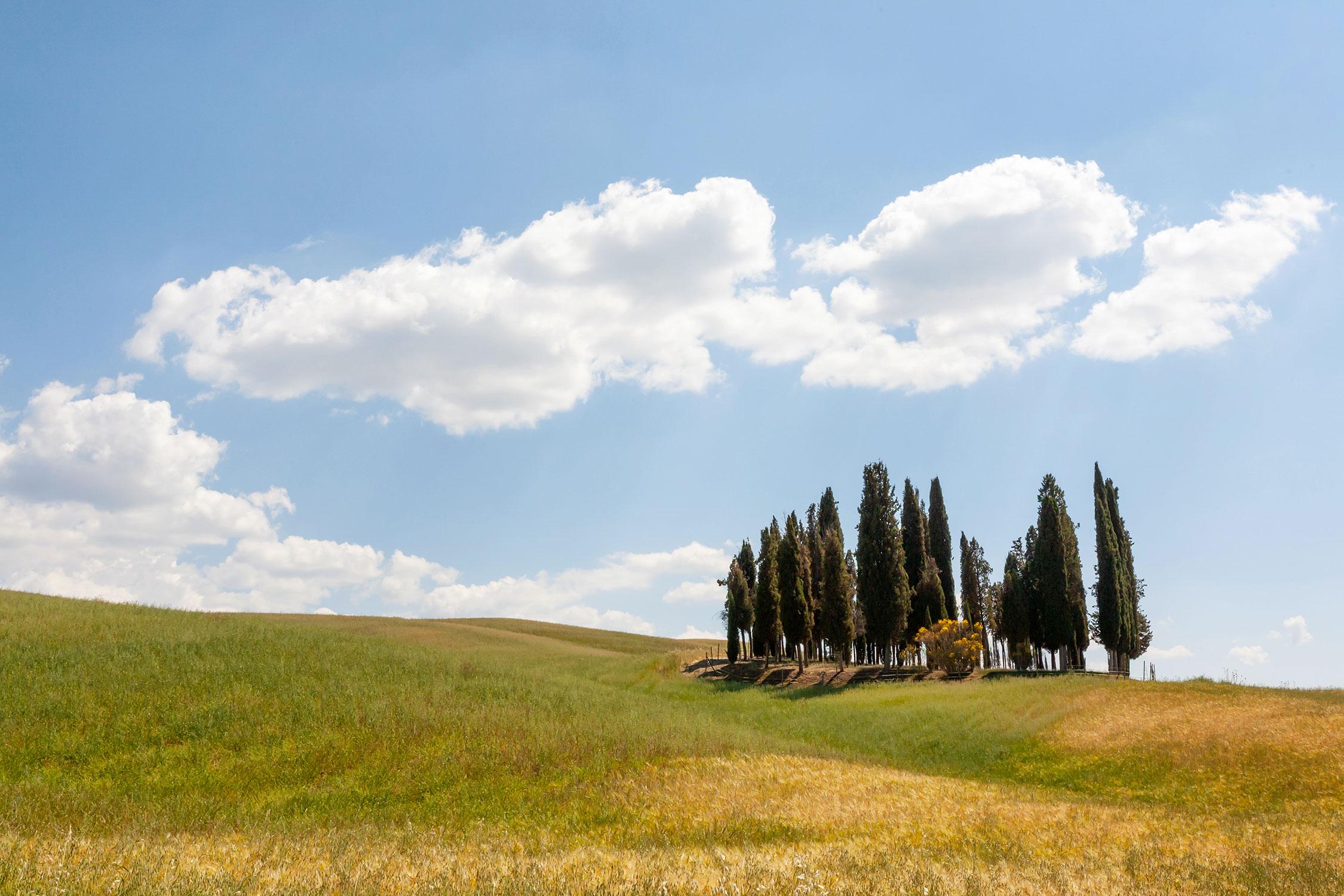 Itinerari turistici in Toscana e Umbria | Villa Valentini Bonaparte