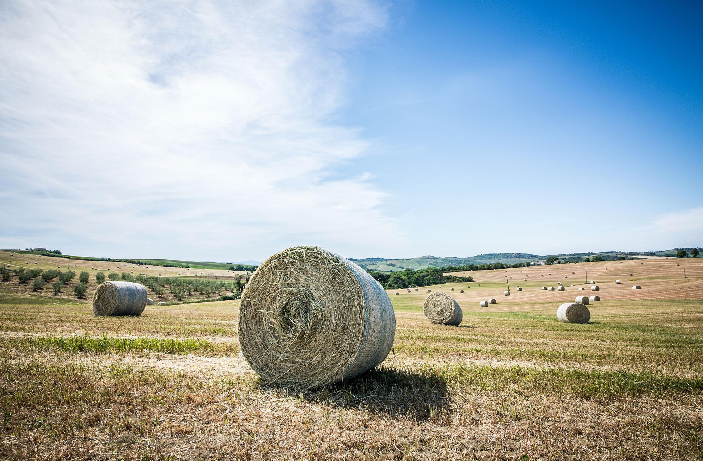 Itinerari turistici in Toscana e Umbria | Villa Valentini Bonaparte